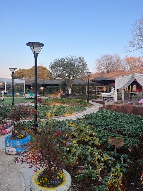 神风路系列3青龙山庄