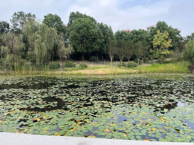 【童谣】2.小池塘