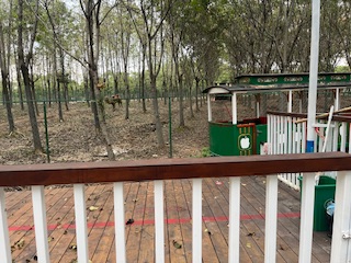 【童谣】10.火车快飞