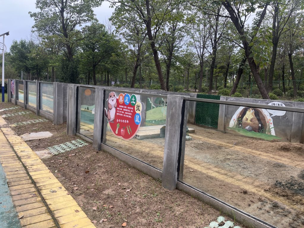 【童谣】5.我是一只土拨鼠