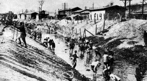 The dark under the lamp——ICC Park