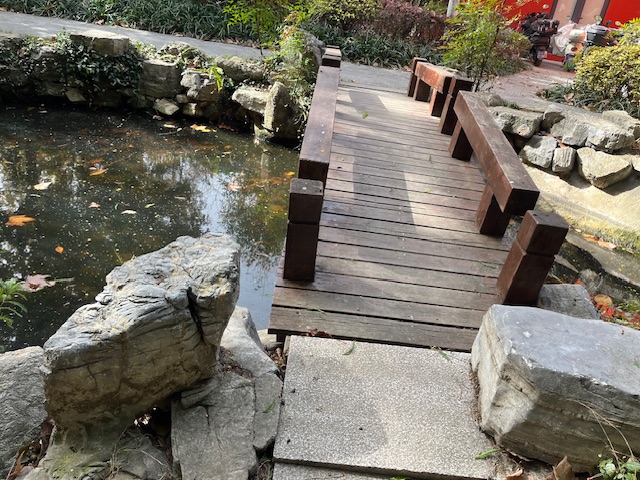 文化公园池塘寻宝