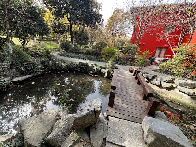 文化公园池塘寻宝