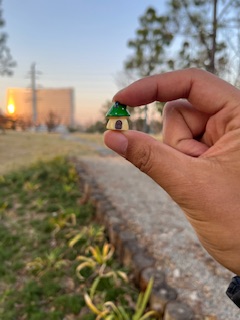 雨花公园的蘑菇