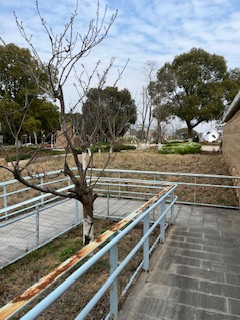 无障碍扶手寻宝