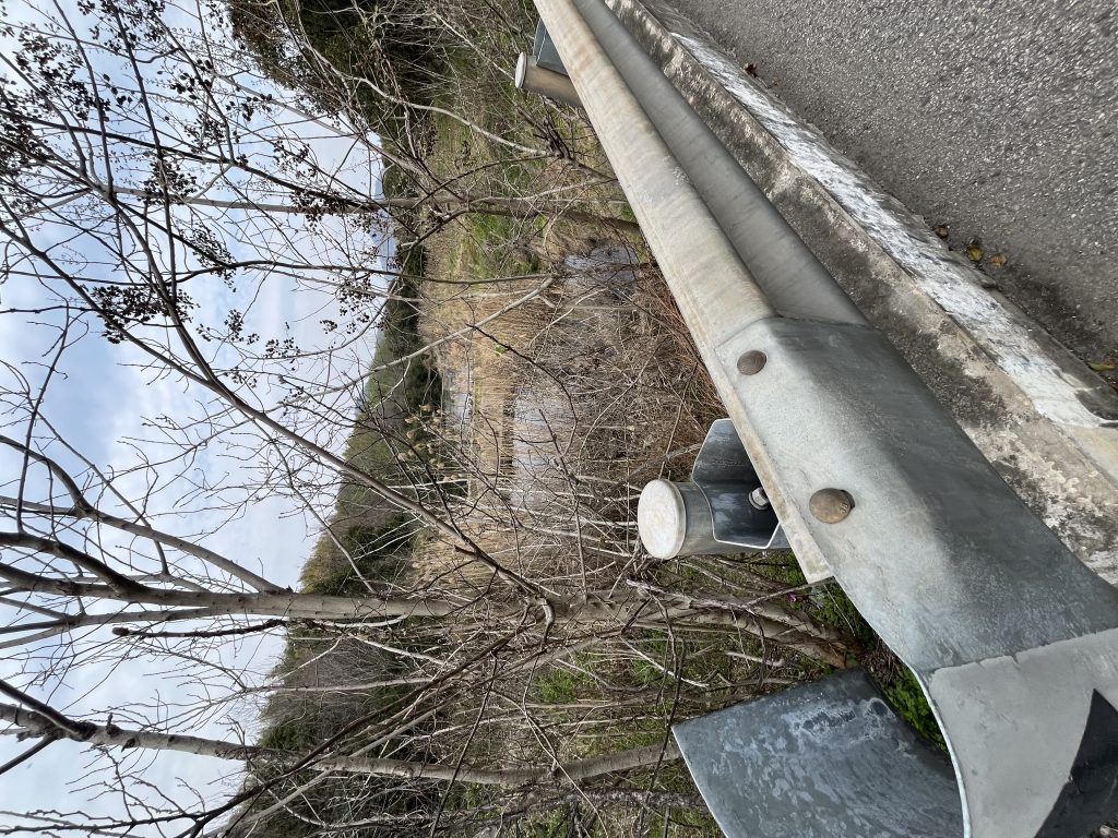 石塘竹海的密码