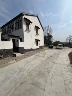 这棵树，藏着一个不该被发现的东西…