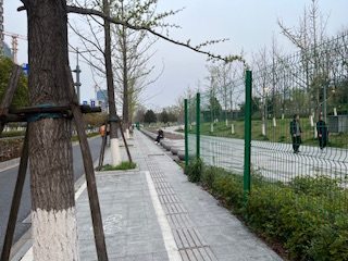 99%的人都会走过这里，却错过了“第三个秘密”