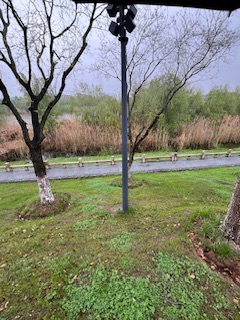 前淹儿项的石头故事