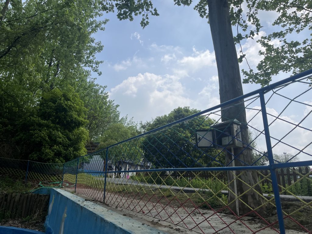 浑水摸鱼赏心悦目