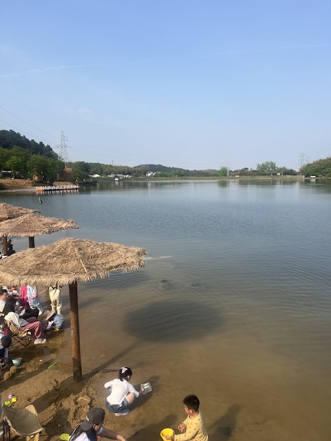 龙乡双范马儿代付