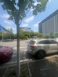 墙上的洞里有什么