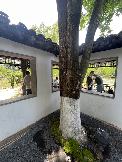 愚园的树
