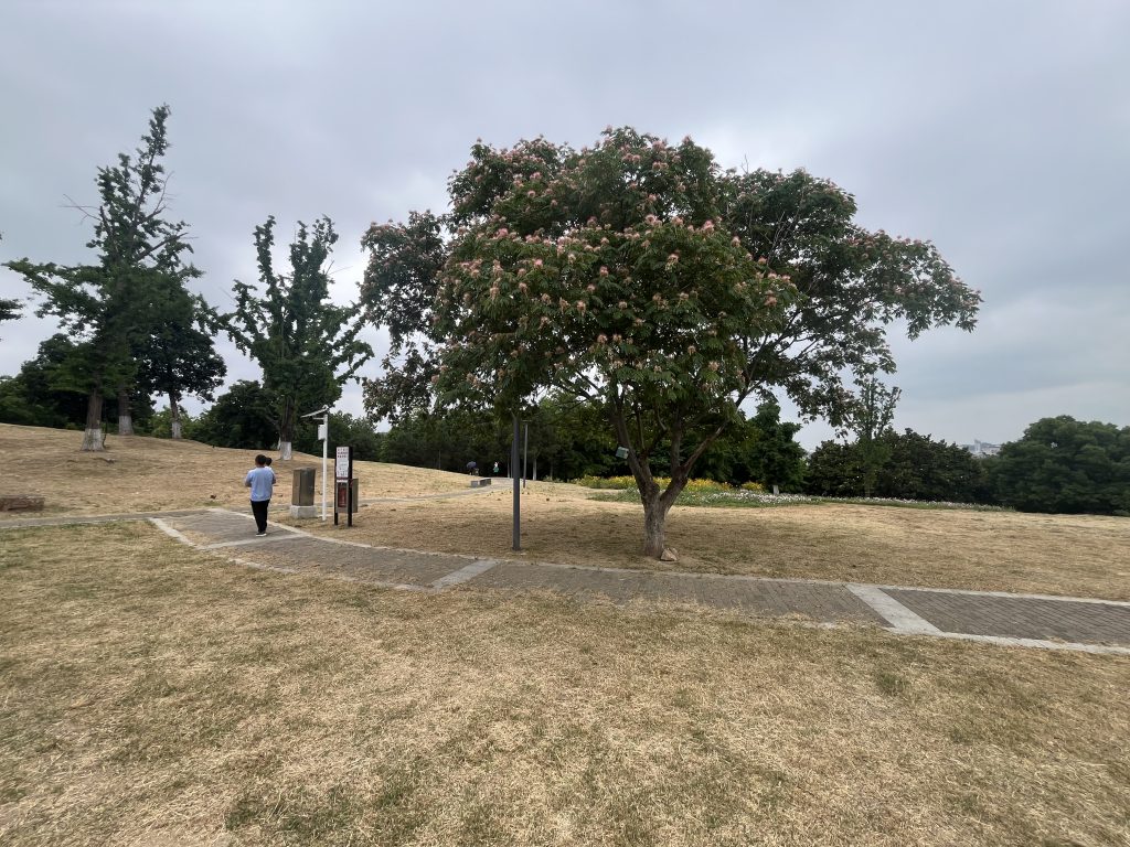 龟山公园系列