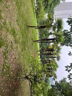 河海大学江宁