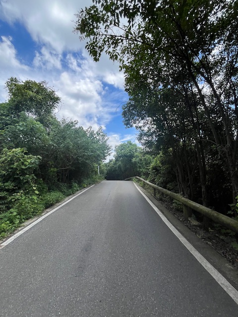 山间小路