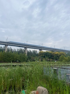 再公园里看高铁