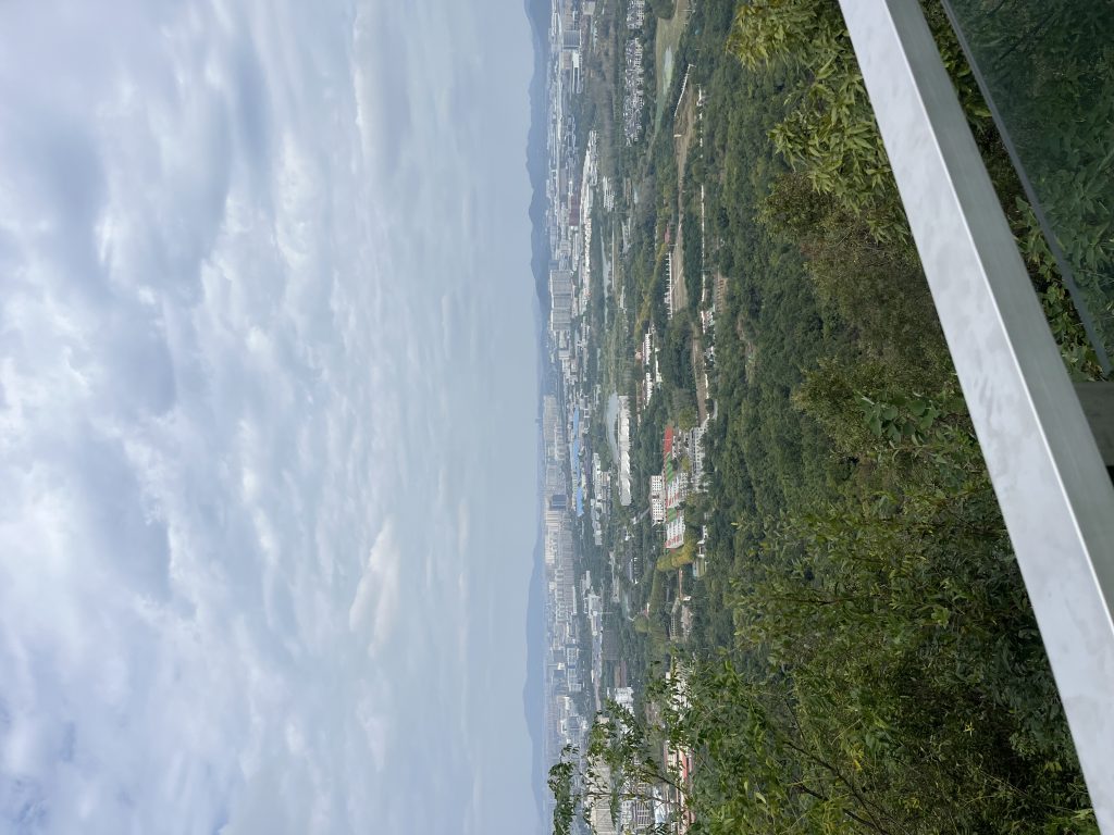 天印花园