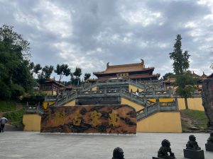 狮子有多少个